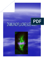 inmunofluorecencia expo .pdf