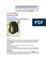 Download Alat pernapasan hewan by Firdaus Jafar SN42090414 doc pdf