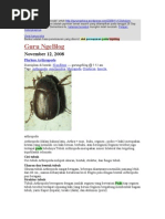 Download Alat pernapasan hewan by Firdaus Jafar SN42090414 doc pdf