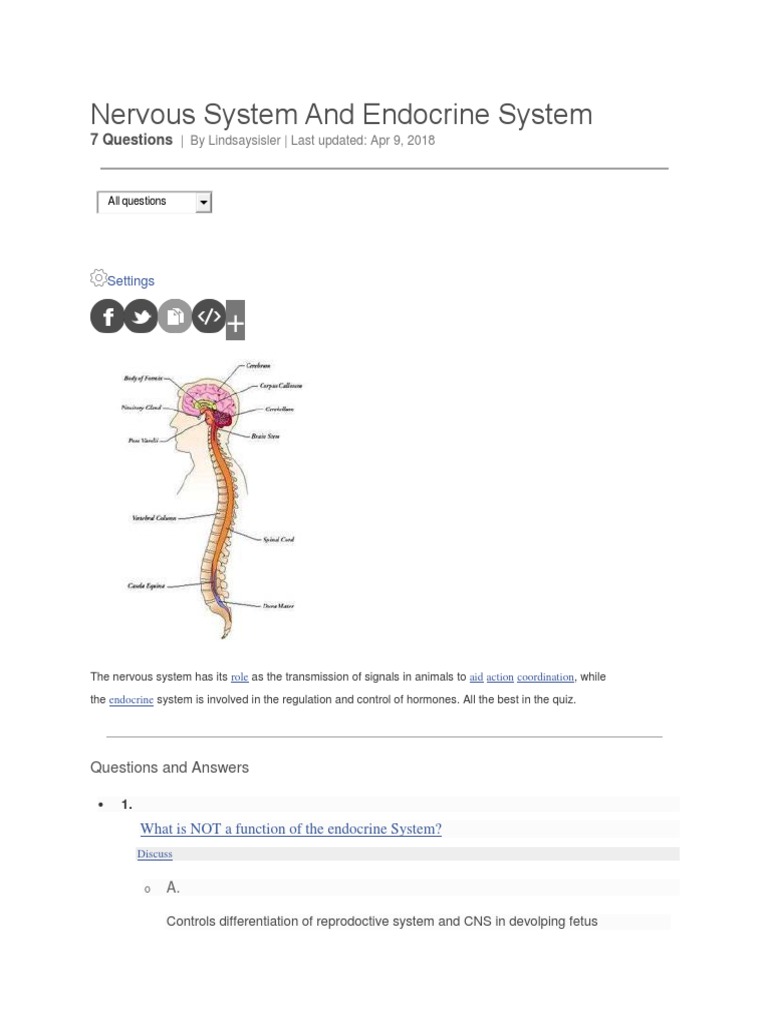 Nervous System and Endocrine System | PDF | Self-Improvement | Wellness
