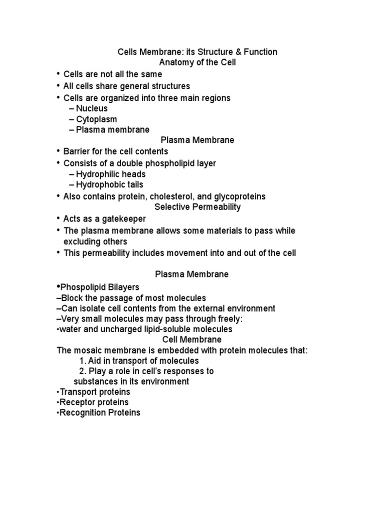 Cell Membrane Structure and Functions | PDF | Cell Membrane ...