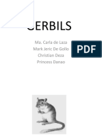 Gerbils: Ma. Carla de Laza Mark Jeric de Gollo Christian Deza Princess Danao