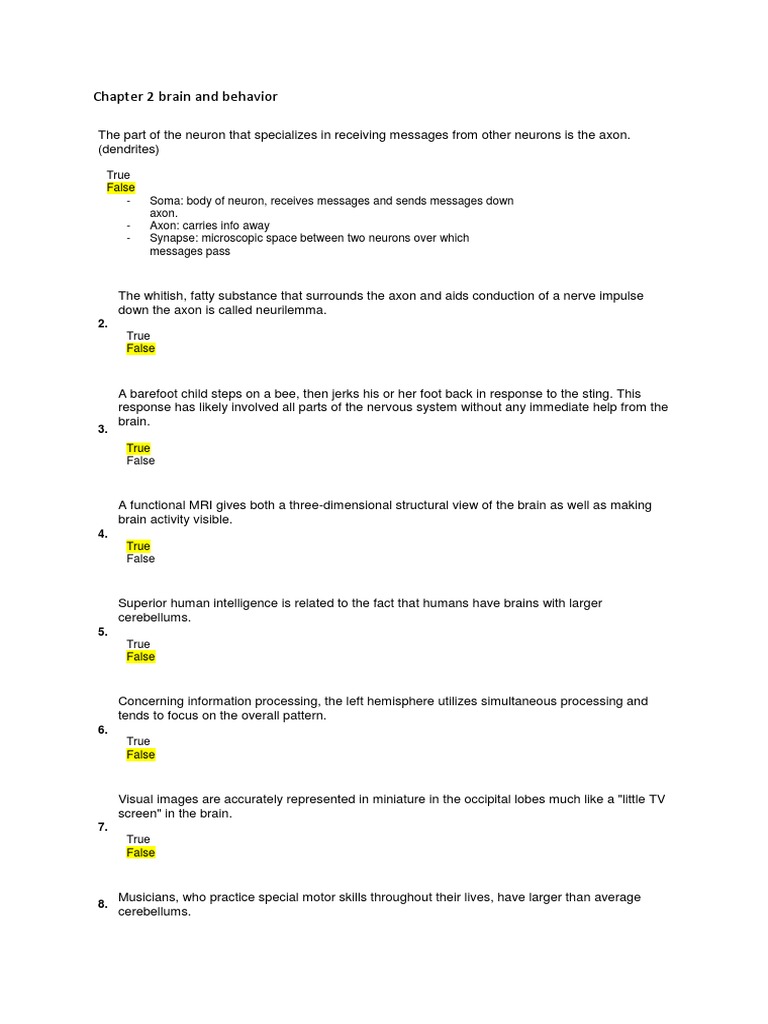 Chapter 2 Brain And Behavior Pdf Autonomic Nervous System Brain
