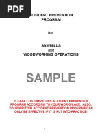 Sample: Accident Prevention Program