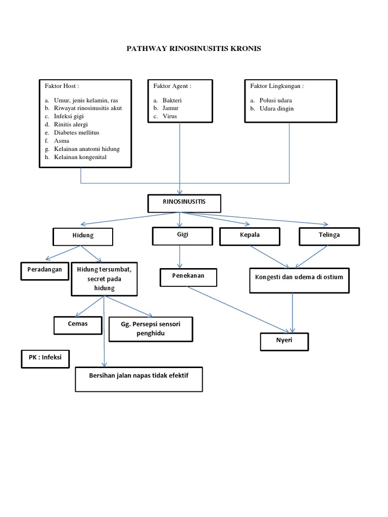 Pathway Rinosinusitis Kronis | PDF
