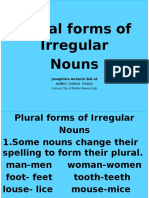 Plural Form of Irregular Nouns