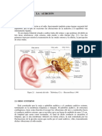 La Audicion-Clasificacionyvaloracion PDF