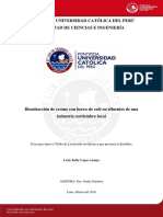 Riesgos de La Contaminación Por Arsenico. Perspectivas