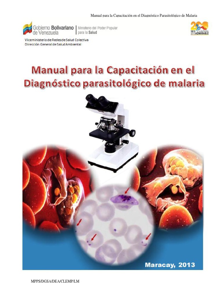 Drepanocitosis: La enfermedad que te protege de la malaria, pero te puede  matar | Planeta Futuro | EL PAÍS, image size:768x1024