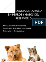 6 Fisiopatologia Rabia Perros y Gatos SESA JAL PDF