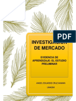 INVESTIGACIÓN DE MERCADO