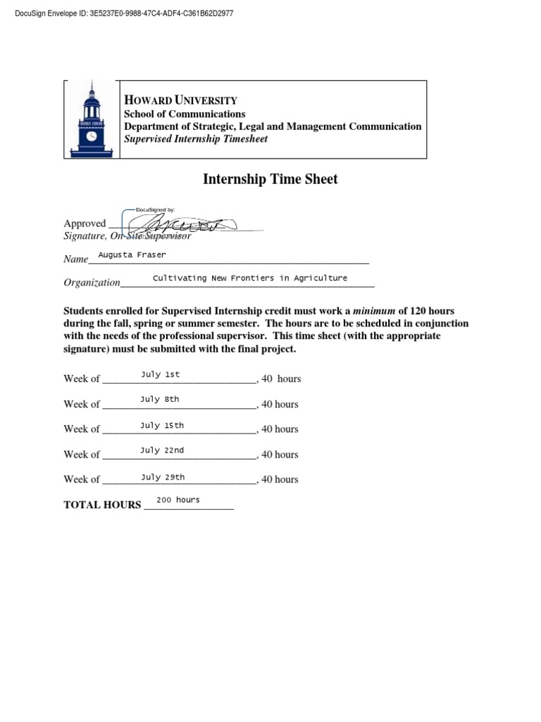 Internship Time Sheet | PDF