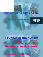 Tecnicas de Necropsia: David Chuquipoma Pacheco