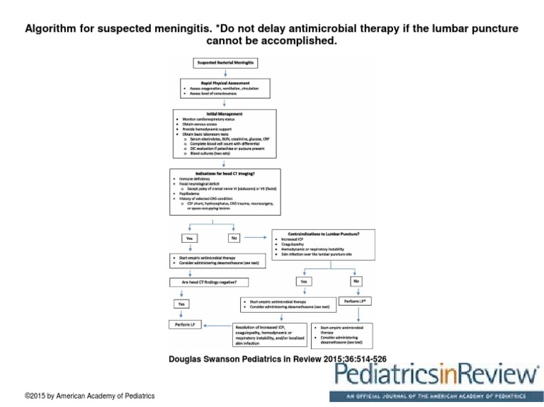 Algorithm For Suspected Meningitis. Do Not Delay Antimicrobial Therapy ...