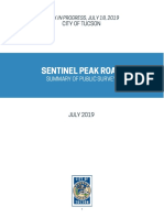 Sentinel Peak Survey Findings Draft Report3