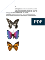 Colores de Las Mariposas