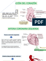 Irrigación Del Corazón