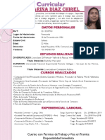 Curriculo Dayli Karina Diaz Chirel-1