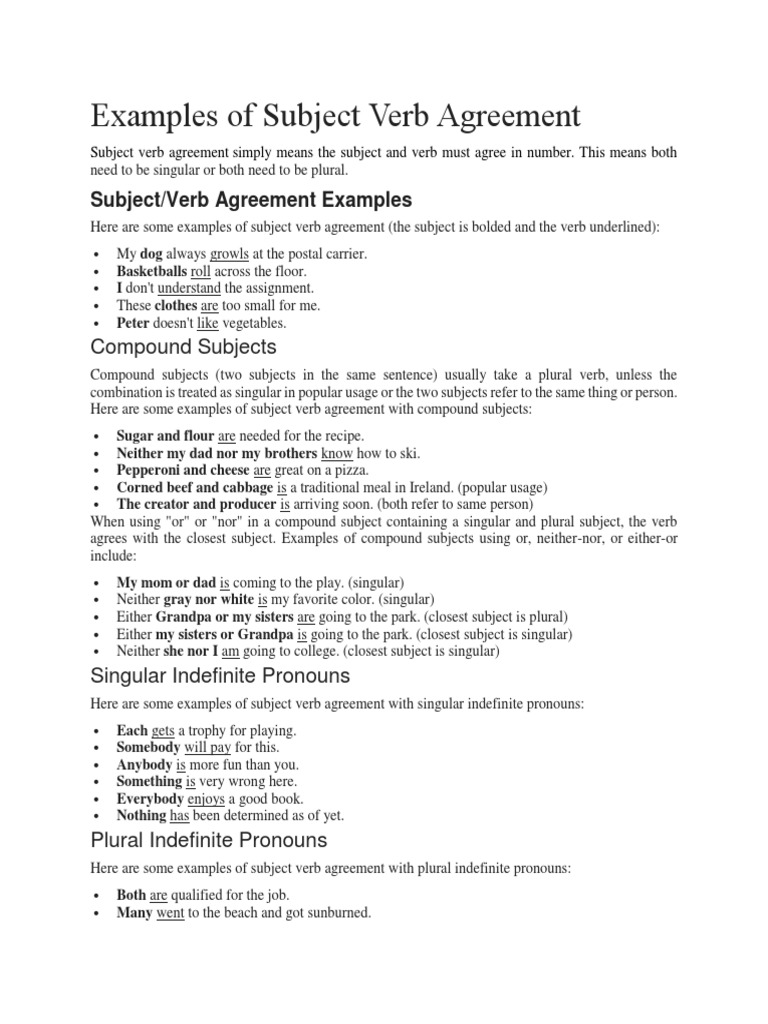 S V Agreement | PDF | Grammatical Number | Plural