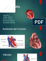 Endocarditis Ok