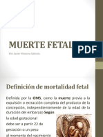 Muerte Fetal