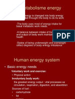 energy balance