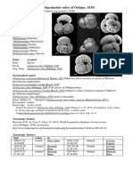 Globigerinoides ruber Species Profile