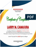 Certificate of Completion: Larry M. Camasura