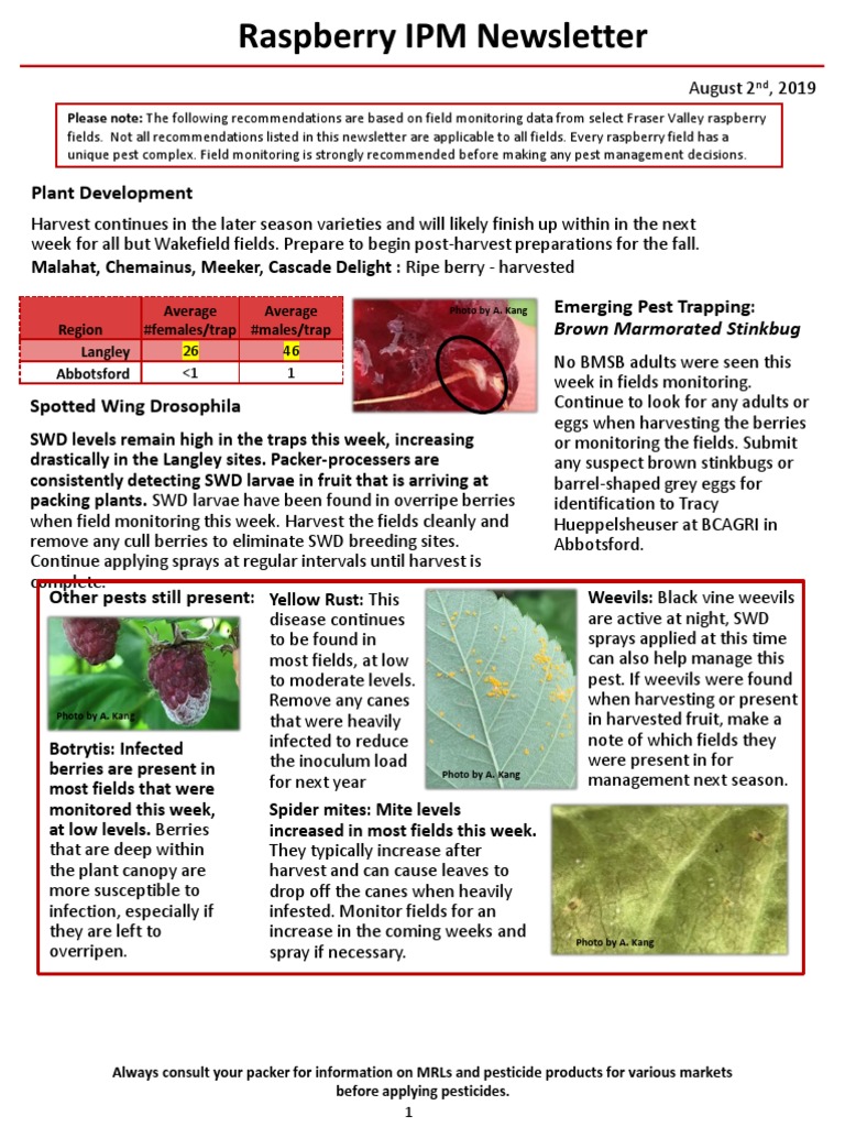 Raspberry Pest Management Update 2019 | PDF | Berry | Pesticide
