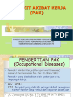 17 Penyakit Akibat Kerja (PAK)