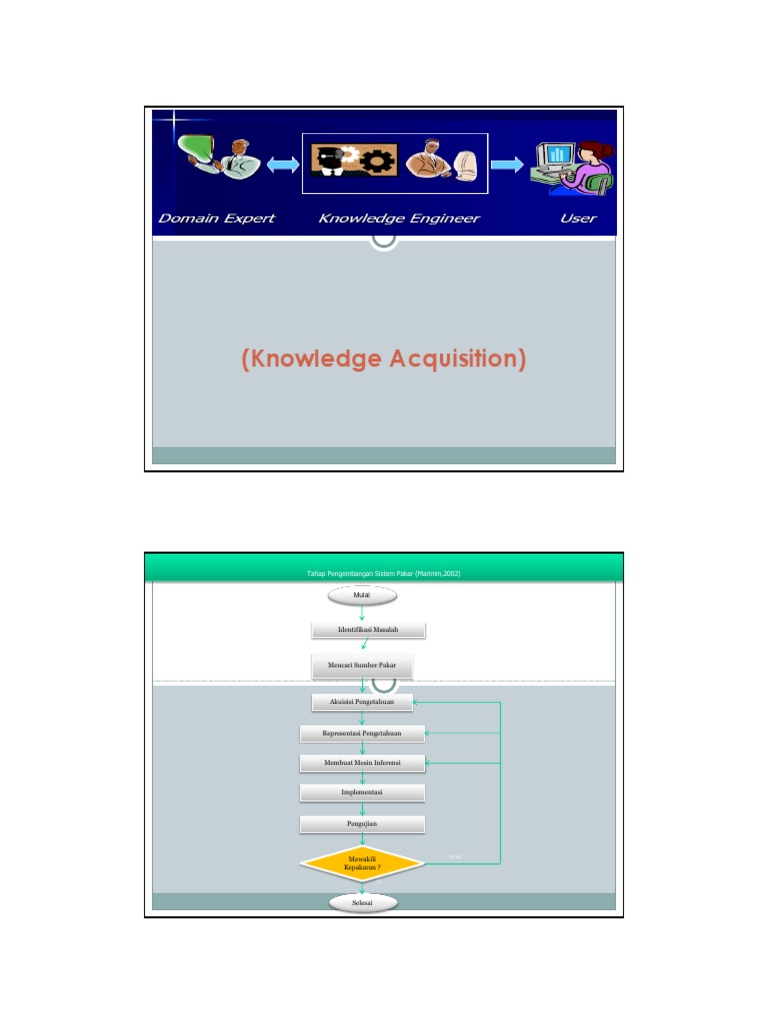 Knowledge Acquisition in Expert Systems | PDF | Tacit Knowledge | Expert