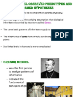 Gregor Mendel Observed Phenotypes and Formed Hypotheses: Genes