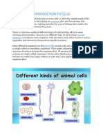 Introduction To Cells