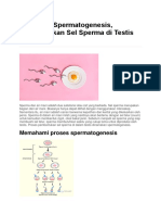 Spermatogenesis