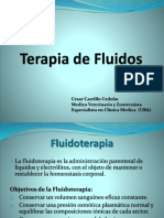 fluido_terapia_para_enviar255b1255d.pptx