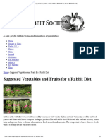 Suggested Vegetables and Fruits for a Rabbit Diet _ House Rabbit Society