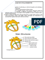 12 Lead Ecg Placements The Heart