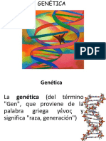 Terminos Genetica Sin Conceptos