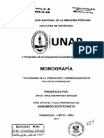 Monografias Del Peru PDF