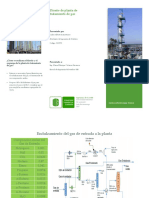 Brochure Diseño de Planta de Gas