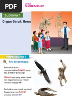 Organ Gerak Hewan: Subtema 1