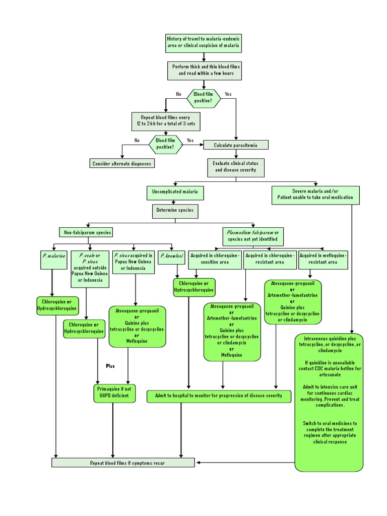 Malaria Algorithm PDF | PDF | Science & Mathematics