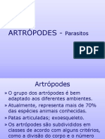 Artropodes Exames Parasito