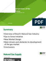 Development Perspectives of The Natural Gas Industry: Superintendência de Infraestrutura e Movimentação-SIM