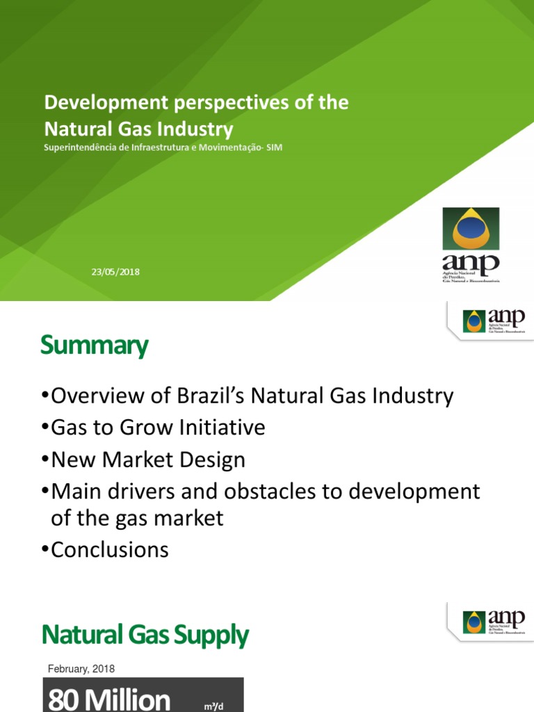 Development Perspectives of The Natural Gas Industry: Superintendência ...