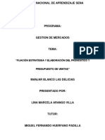 Fijación Estrategia y Elaboración Del Pronóstico y Presupuesto de Ventas