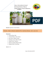 ANALISIS SENSORIAL DE LA LECHE -PRACTICA CASTRO.docx