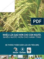 Nhiều lúa gạo hơn cho con người, nhiều nước hơn cho hành tinh