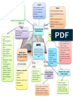 Mapa Mental