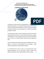 Iniciativa para La Cuenca Del Caribe PDF